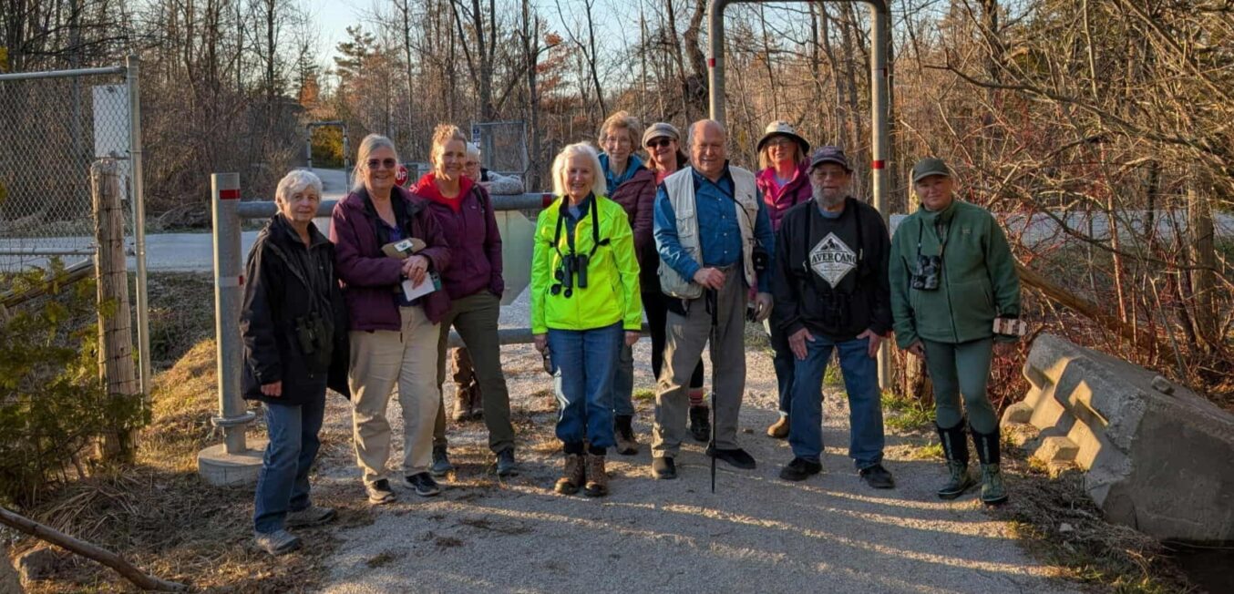 Recap: Sights & Sounds #2